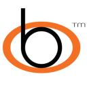 Borne Electrical Limited logo